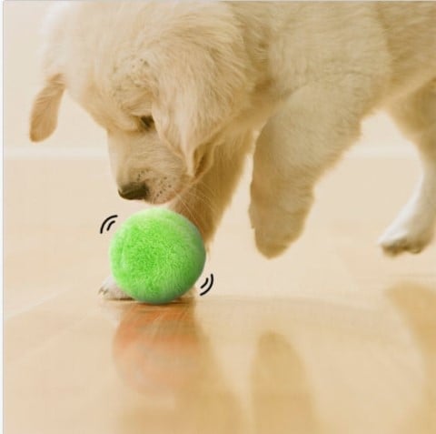🔥Active Rolling Ball (4 Colors Included)