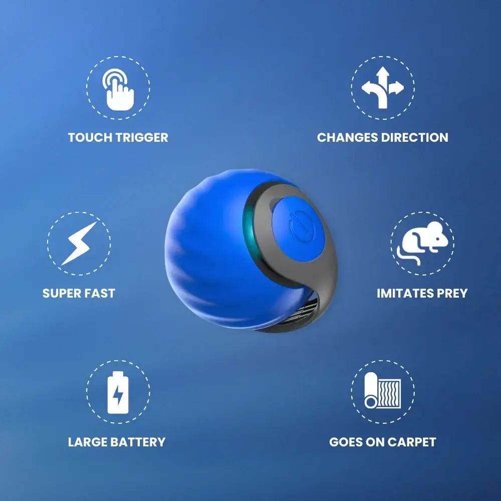 SPEEDY TAIL 2.0 (Buy 2 Get 1 Free)