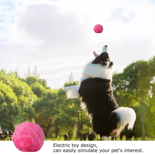 🔥Active Rolling Ball (4 Colors Included)