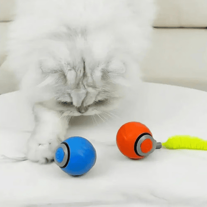 SPEEDY TAIL 2.0 (Buy 2 Get 1 Free)