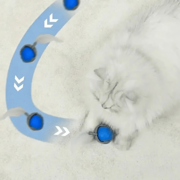 SPEEDY TAIL 2.0 (Buy 2 Get 1 Free)