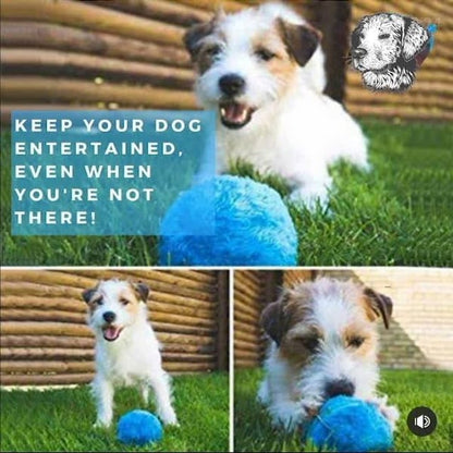 🔥Active Rolling Ball (4 Colors Included)