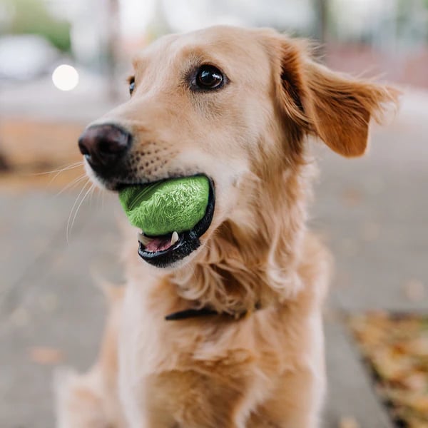 🔥Active Rolling Ball (4 Colors Included)