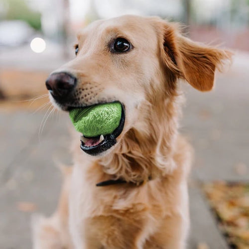 🔥Active Rolling Ball (4 Colors Included)